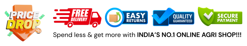 trusted_page